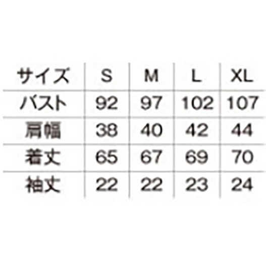 Lee レディースチェック半袖シャツ ブルー　LCS43008-x/7