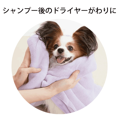 AUTRY　コードレスエアダスター隼 AUD-640B