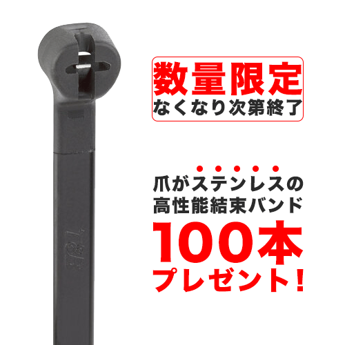 TY-Fast　Ty-Rap　共通結束ツール　ERG50【数量限定おまけ付き】