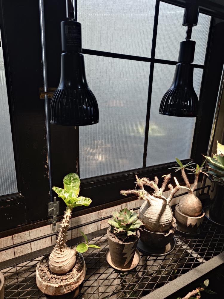 イノベックス LEDファン付き植物育成ライト | 公式オンライン