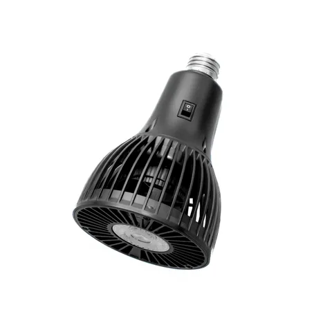LED1_s.webp